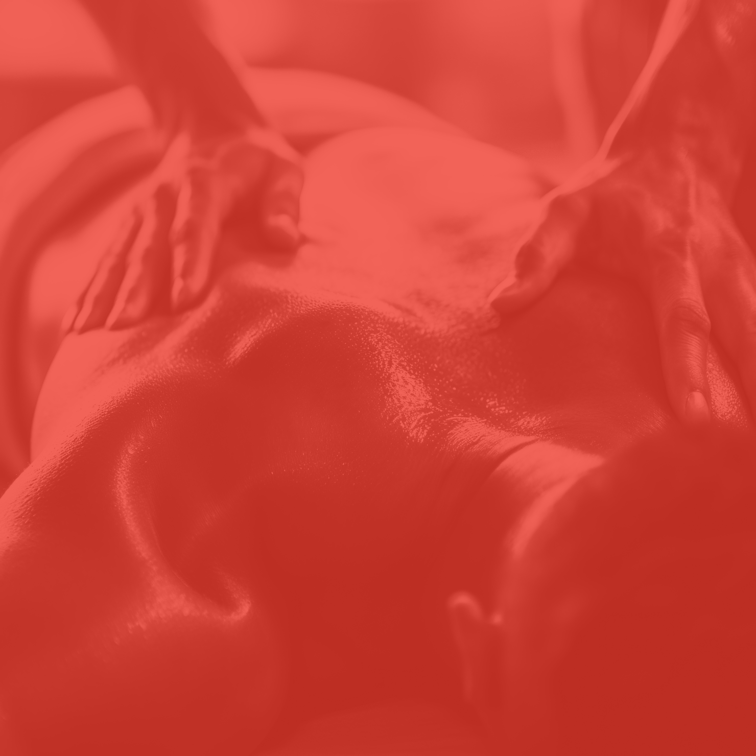 Membership List Item